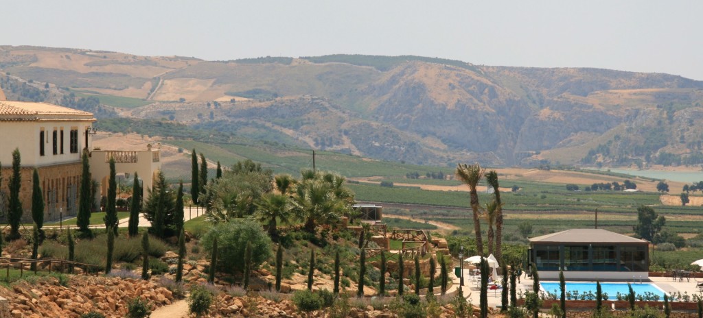 panorama