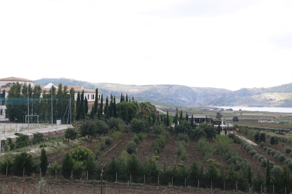 panorama 2