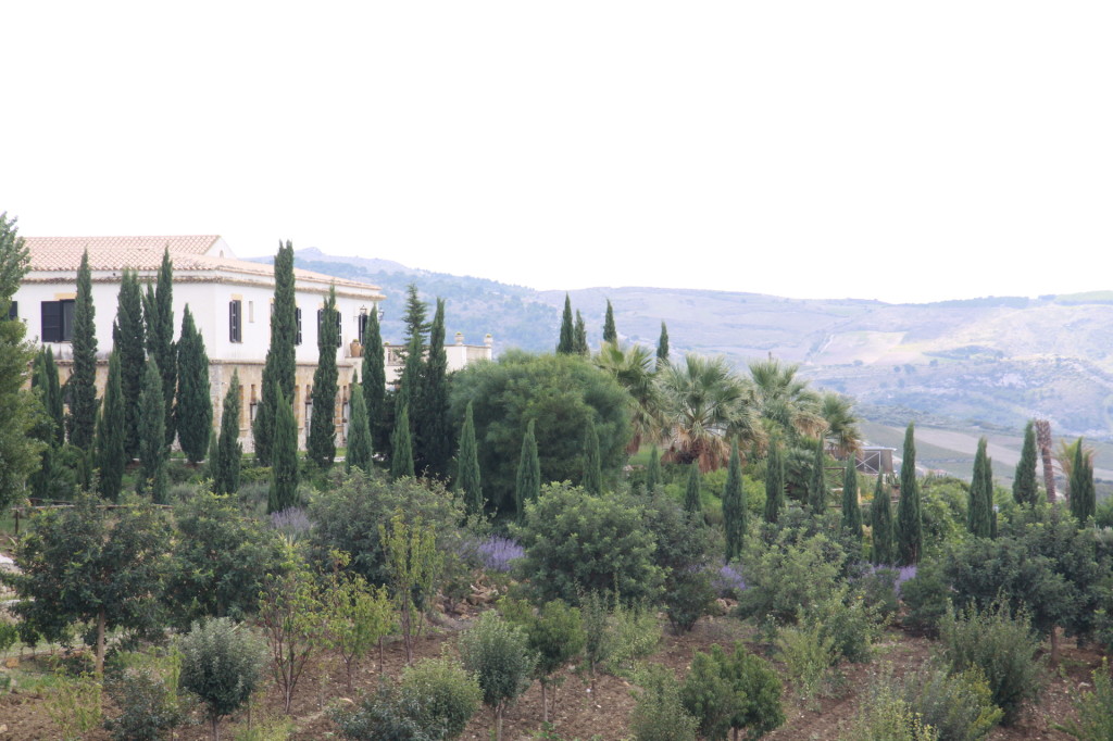 panorama 3